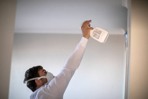 Best Residential Mold Removal  in Nokomis, FL