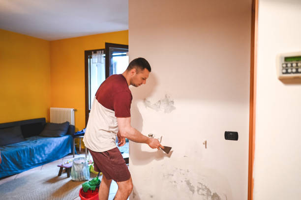 Best Mold Removal Specialists  in Nokomis, FL